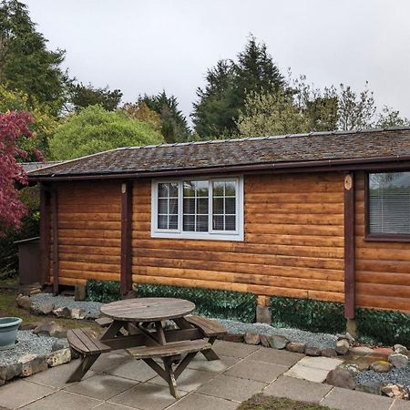 Snowdonia Log Cabin 2 Villa Trawsfynydd Exterior photo
